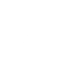 official google ad logo in white best freelance digital marketing expert in malappuram