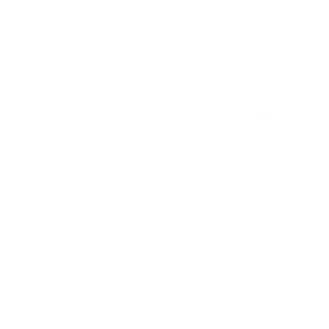 official google logo in white Best Freelance Digital Marketing Expert In Malappuram