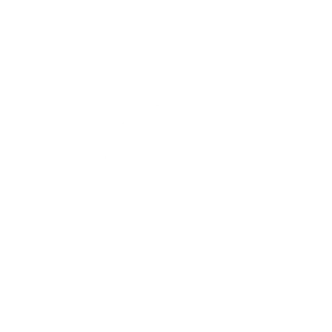 Official WordPress logo in white best freelance digital marketing expert in malappuram